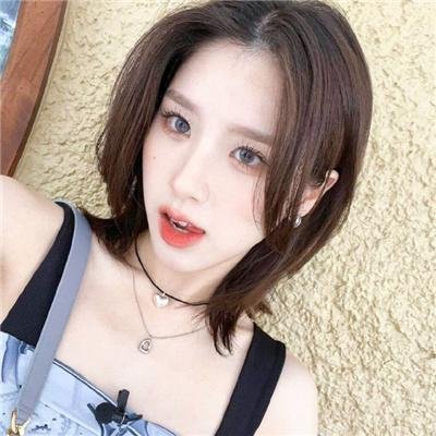 迎风伫立的狮子